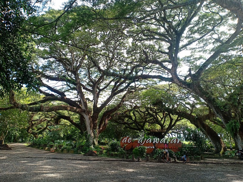 De Djawatan Forest: A Hidden Natural Paradise - Banyuwangi - Indonesia - booked ai
