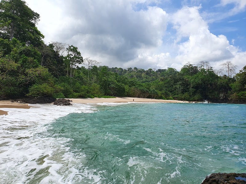 Green Bay: A Comprehensive Guide - Banyuwangi - Indonesia - booked ai