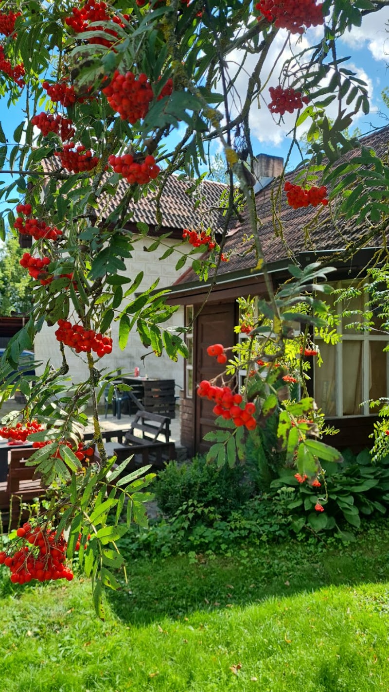 Rasa Hotel - Bauskas novads - Latvia - booked ai