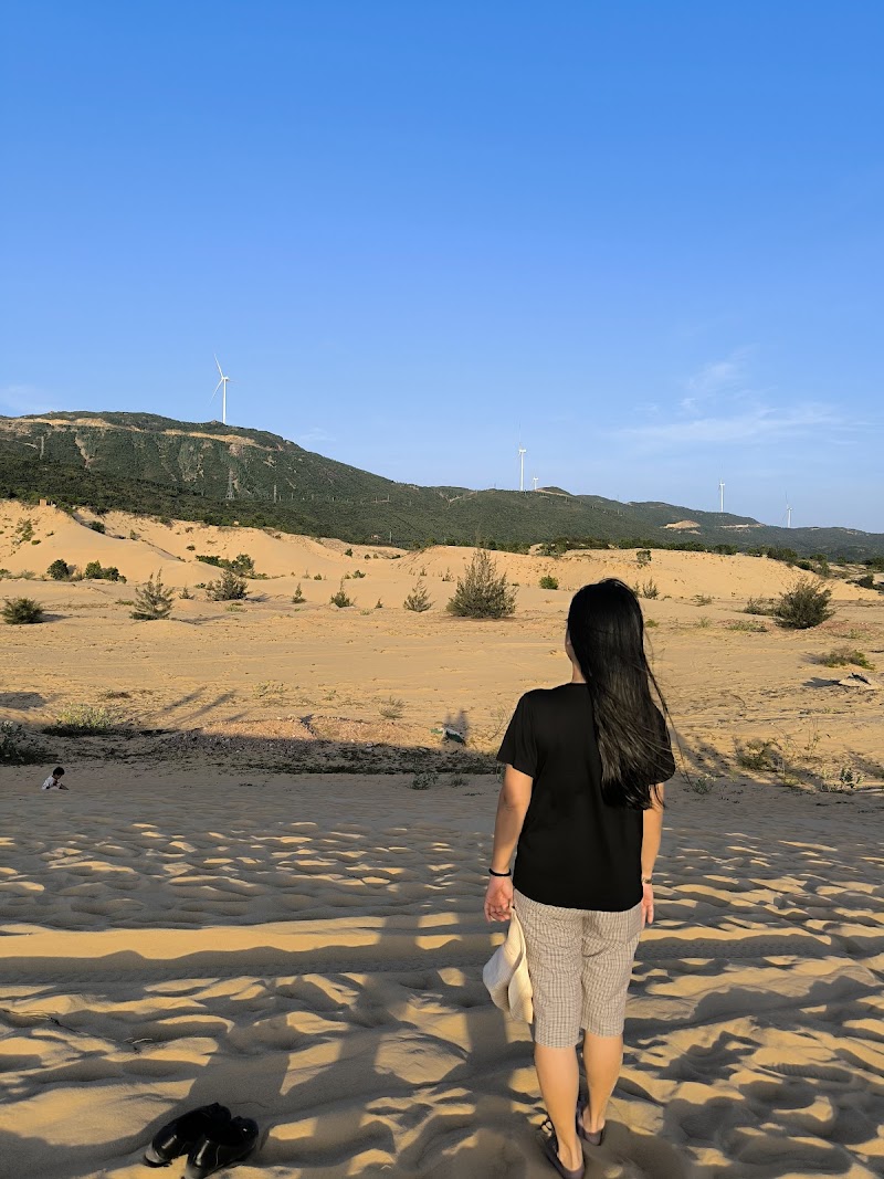Đồi Cát Phương Mai: Khám Phá Vẻ Đẹp Sa Mạc Giữa Lòng Quảng Bình - Quy Nhon - Vietnam - booked ai