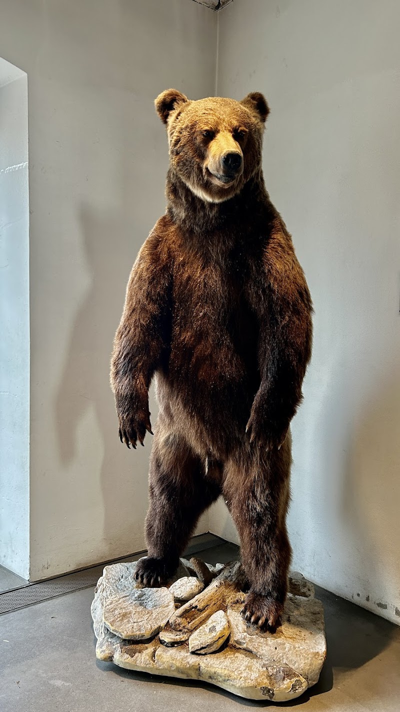 inatura Erlebnis Naturschau - Dornbirn - Austria - booked ai