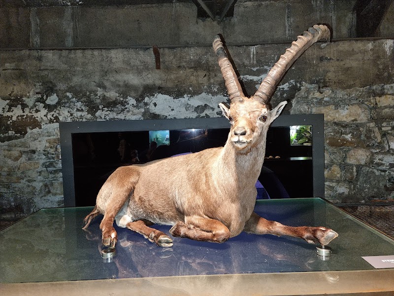 inatura Erlebnis Naturschau - Dornbirn - Austria - booked ai