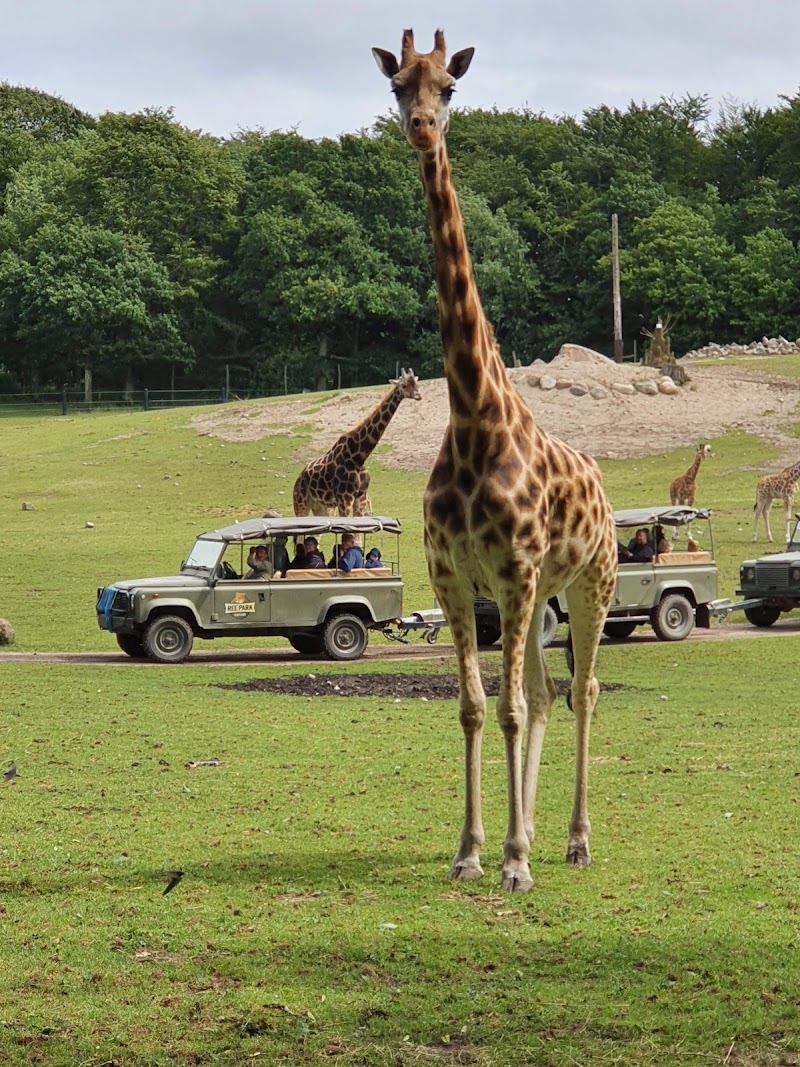 Ree Park Safari - Ebeltoft - Denmark - booked ai