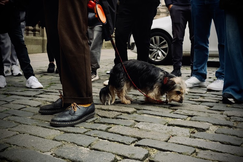 Edinburgh Castle - Edinburgh - United Kingdom - booked ai