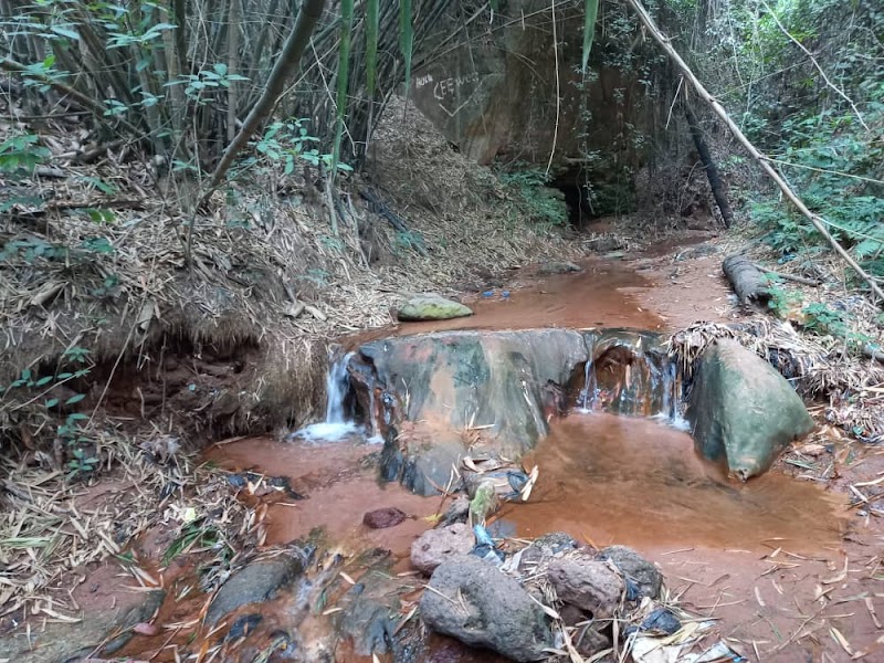 Ngwo Pine Forest and Caves - Ngwo-Asaa - Nigeria - booked ai