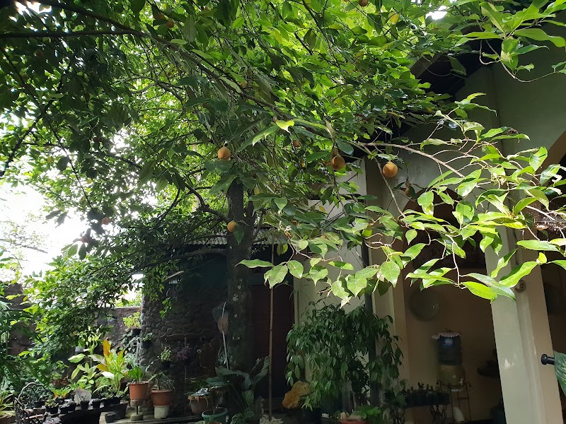 Mutiara Guesthouse Banda Neira - Banda - Indonesia - booked ai