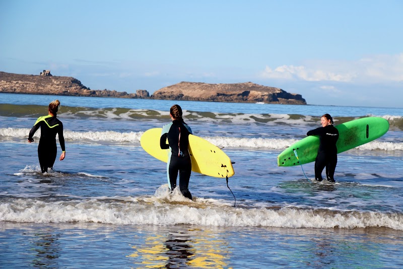 Visit Essaouira Beach for Windsurfing and Kitesurfing - Essaouira - Morocco - booked ai