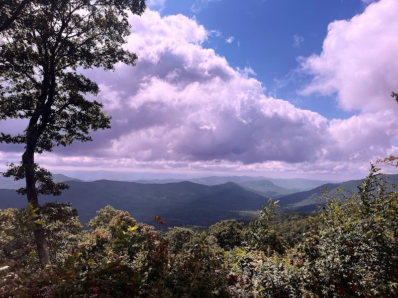Drive the Blue Ridge Parkway - Asheville - United States - booked ai