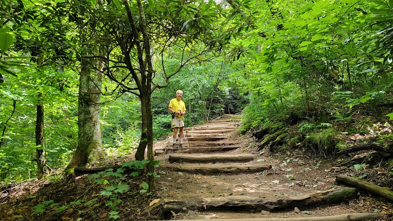 Drive the Blue Ridge Parkway - Asheville - United States - booked ai