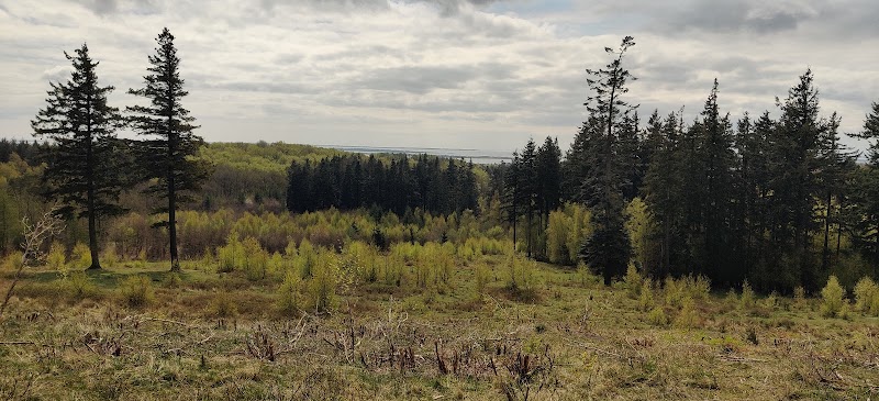 Hike in Svanninge Bakker (The Funen Alps) - Faaborg - Denmark - booked ai