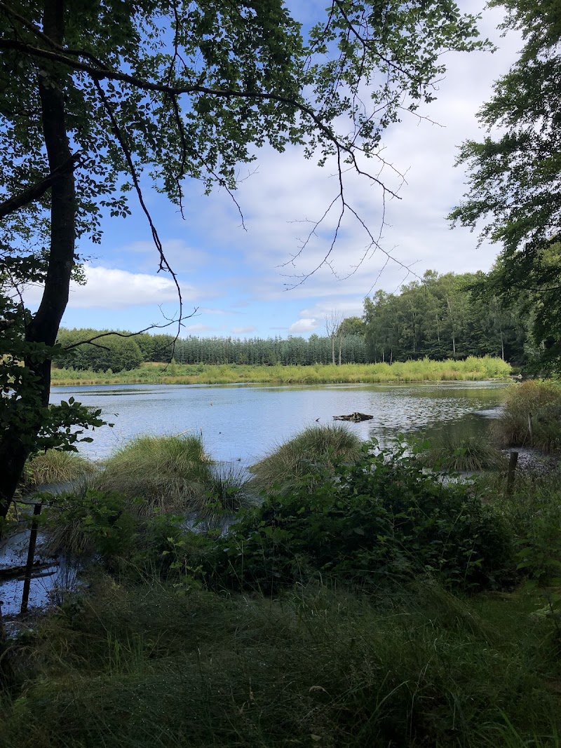 Hike in Svanninge Bakker (The Funen Alps) - Faaborg - Denmark - booked ai