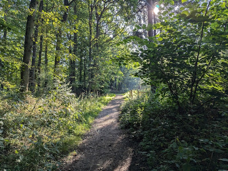 Hike in Svanninge Bakker (The Funen Alps) - Faaborg - Denmark - booked ai