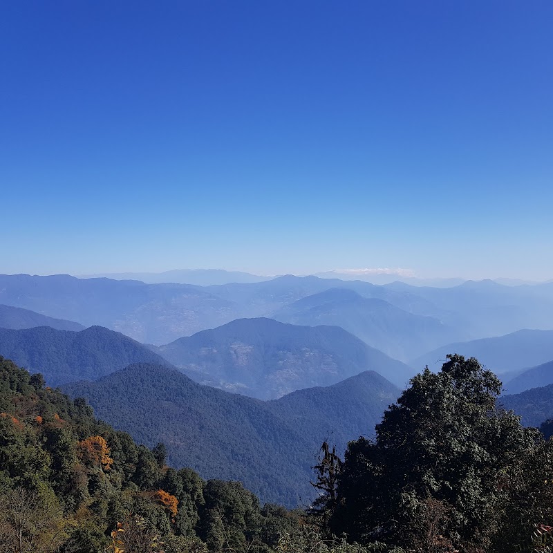Exploring the Wonders of Phrumsengla National Park - Nimgong - Bhutan - booked ai