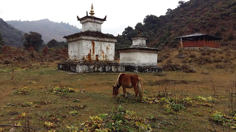 Pema Yang Dzong Lhakhang: Aja Ney - Mongar - Bhutan - booked ai