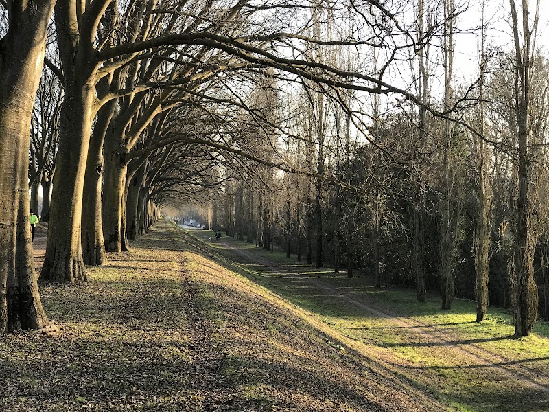 Cycle along the Renaissance city walls - Ferrara - Italy - booked ai