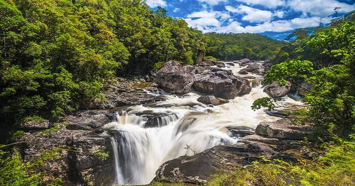 Visit to Ranomafana National Park -  - Madagascar - booked ai