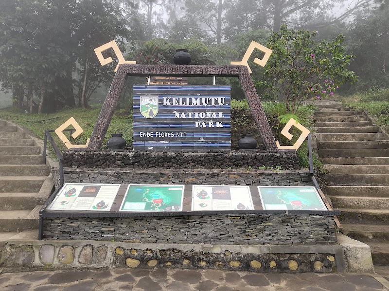 Visit Komodo National Park - East Nusa Tenggara - Indonesia - booked ai
