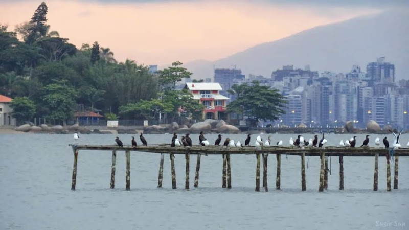 Explore the historic district of Santo Antônio de Lisboa - Florianópolis - Brazil - booked ai