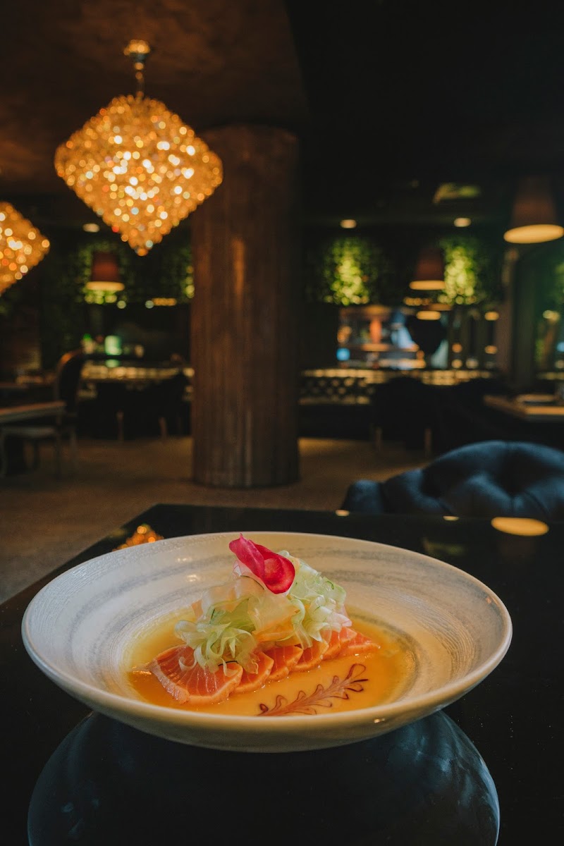 Black Sheep on The Roof - Florianópolis - Brazil - booked ai