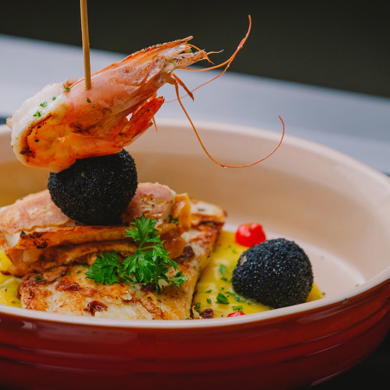 Ostradamus - Florianópolis - Brazil - booked ai