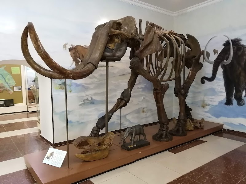 Pavlodar Regional Art Museum - Pavlodar - Kazakhstan - booked ai