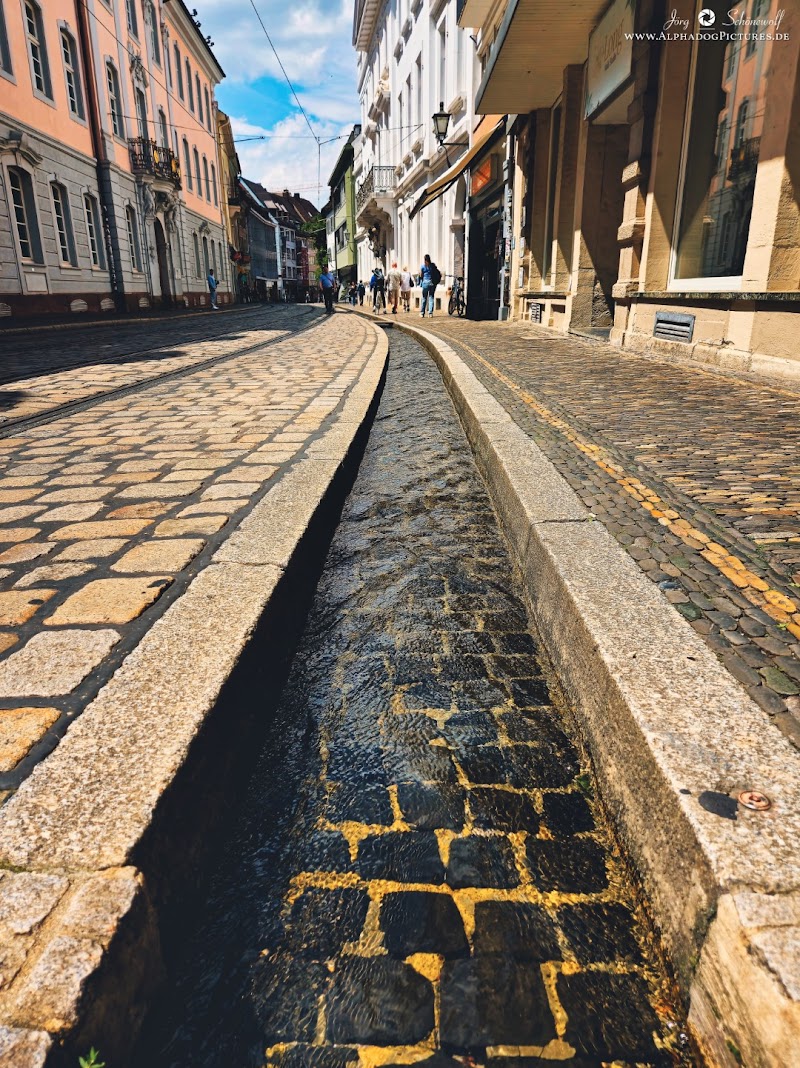 Walk through the Altstadt (Old Town) and see the Bächle - Freiburg im Breisgau - Germany - booked ai