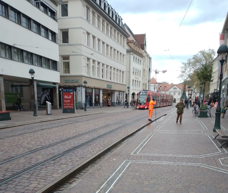 Walk through the Altstadt (Old Town) and see the Bächle - Freiburg im Breisgau - Germany - booked ai