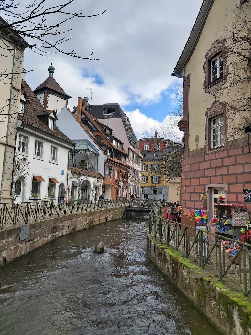 Walk through the Altstadt (Old Town) and see the Bächle - Freiburg im Breisgau - Germany - booked ai