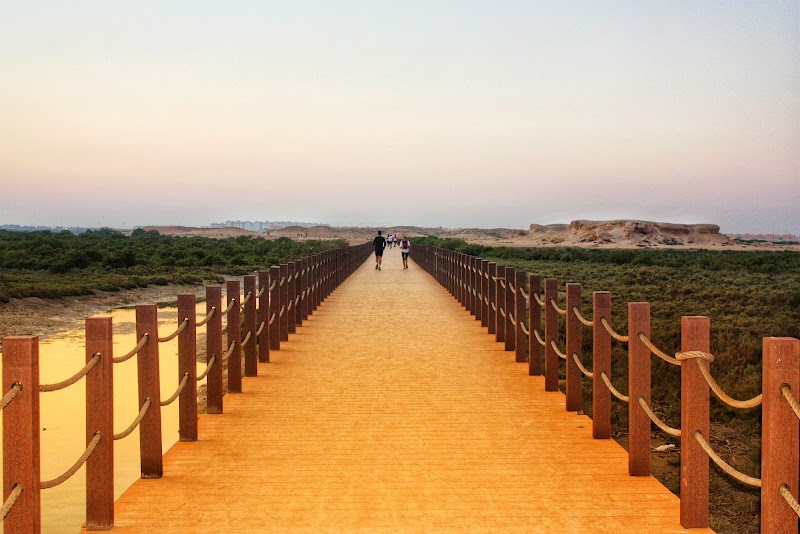 Purple Island Beach - Al Khor - Qatar - booked ai