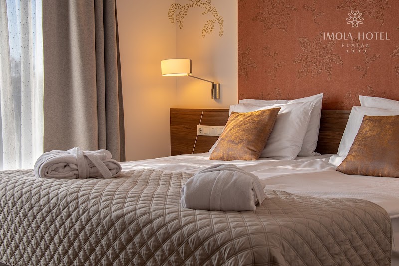 Imola Hotel Platán - Eger - Hungary - booked ai