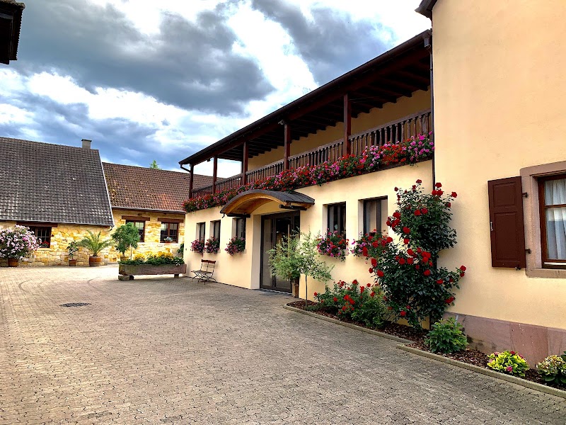 Enjoy Wine Tasting at Local Alsatian Vineyards - Eguisheim - France - booked ai