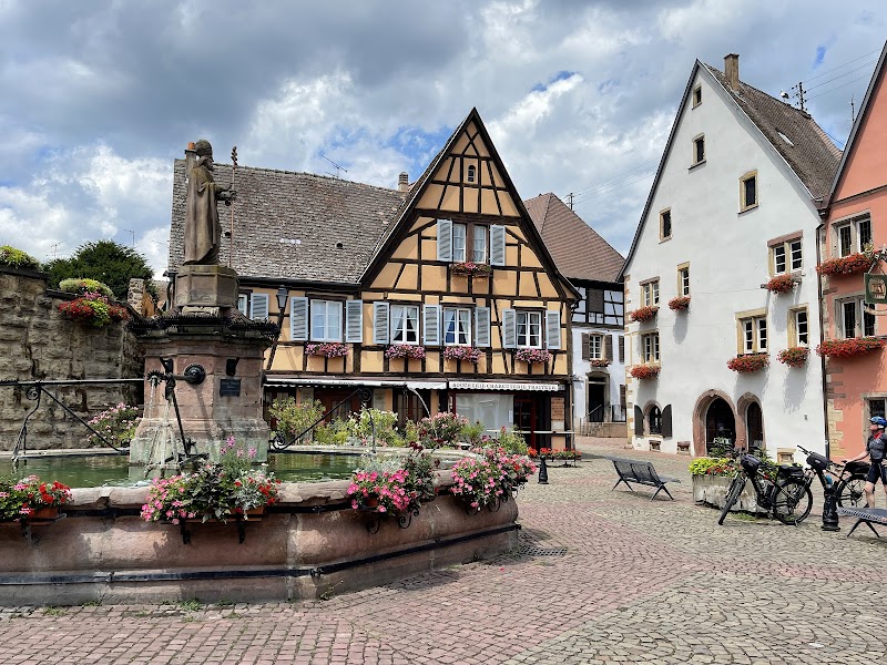 Explore the Medieval Village and Its Colorful Half Timbered Houses - Eguisheim - France - booked ai