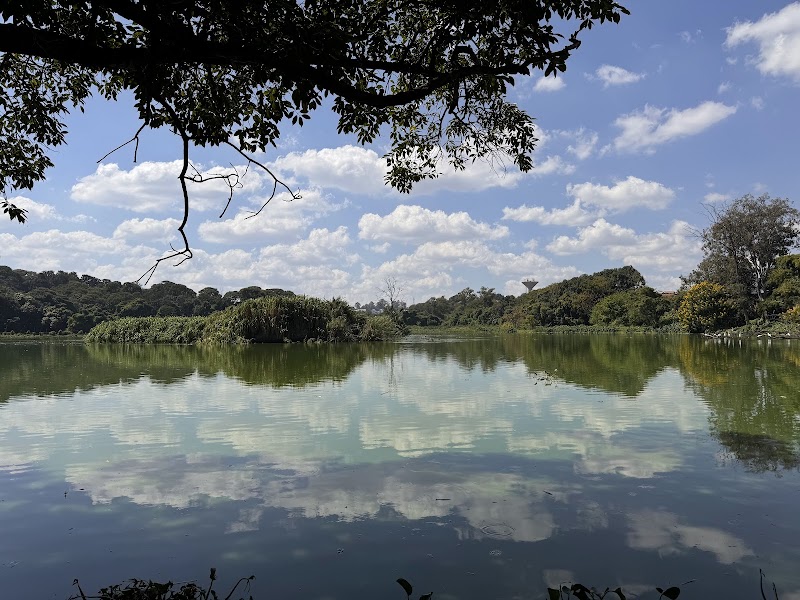 Tsarasaotra Park: A Hidden Gem for Nature Lovers - Antananarivo - Madagascar - booked ai