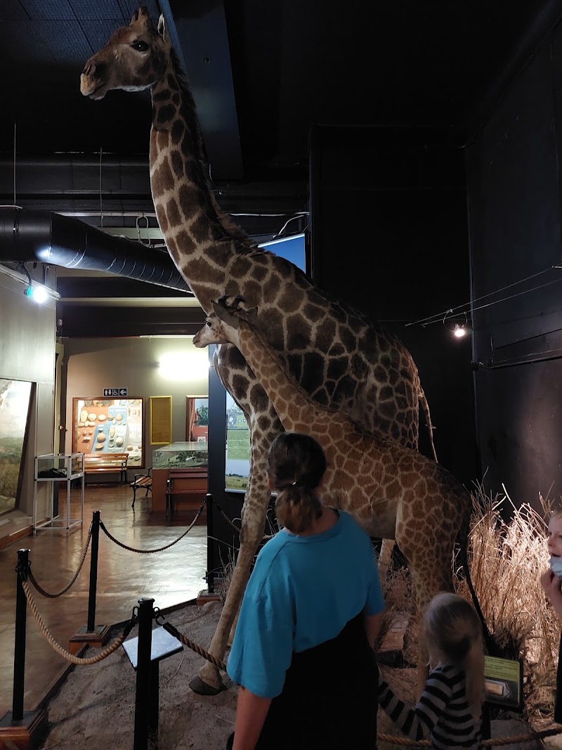 National Museum Bloemfontein - Bloemfontein - South Africa - booked ai