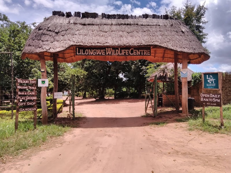 Lilongwe Wildlife Centre: A Sanctuary for Malawi's Wildlife - Lilongwe - Malawi - booked ai