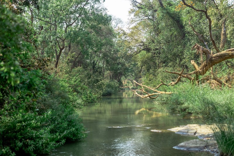 Lilongwe Wildlife Centre: A Sanctuary for Malawi's Wildlife - Lilongwe - Malawi - booked ai