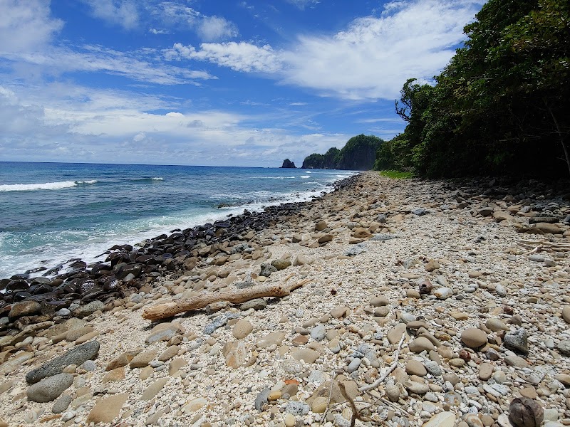 National Park of American Samoa: A Tropical Paradise - American Samoa - American Samoa - booked ai