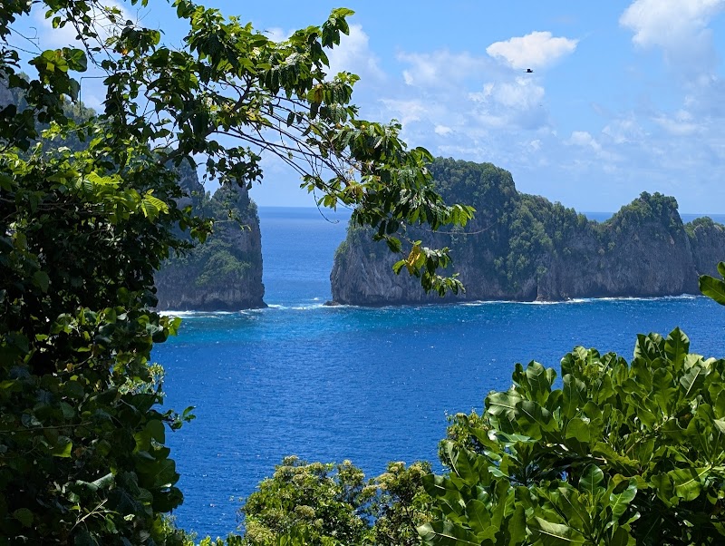Exploring the National Park of American Samoa Visitor Center - Fagatogo - American Samoa - booked ai
