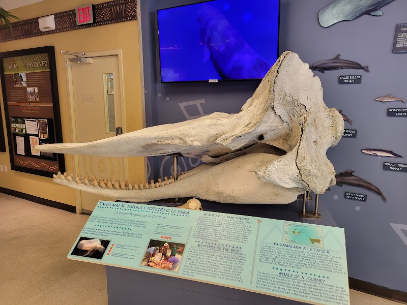 Exploring the National Park of American Samoa Visitor Center - Fagatogo - American Samoa - booked ai