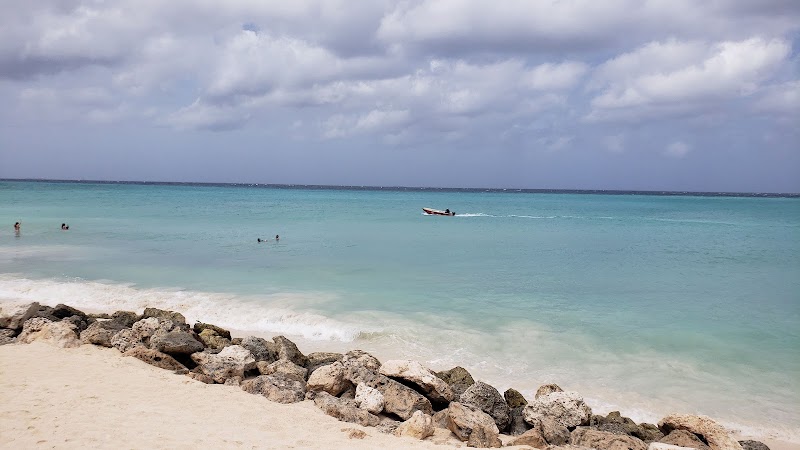 Exploring the Beauty of Druif Beach - Oranjestad - Aruba - booked ai