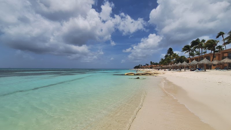 Exploring the Beauty of Druif Beach - Oranjestad - Aruba - booked ai