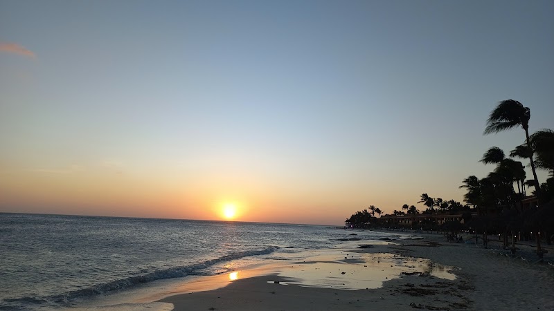 Exploring the Beauty of Druif Beach - Oranjestad - Aruba - booked ai