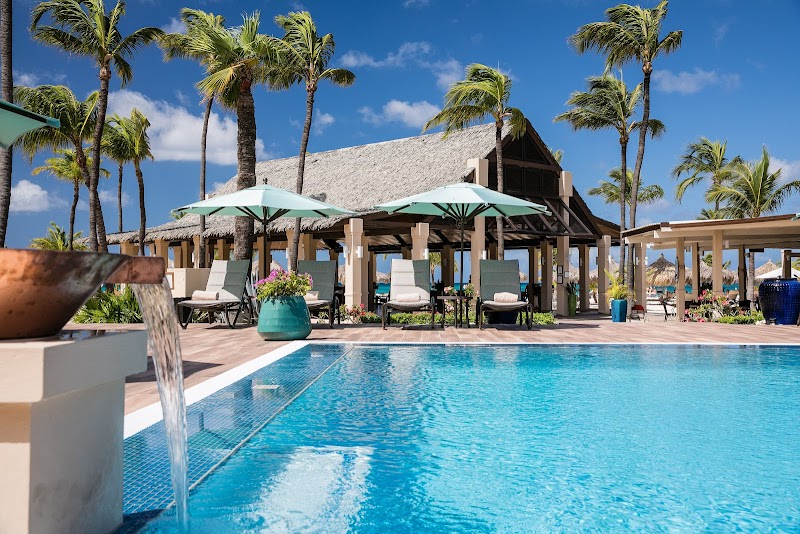 Manchebo Beach Resort Spa Oranjestad - Oranjestad - Aruba - booked ai