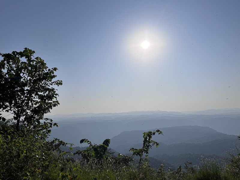 Dandeli Wildlife Sanctuary Safari - Kulgi - India - booked ai