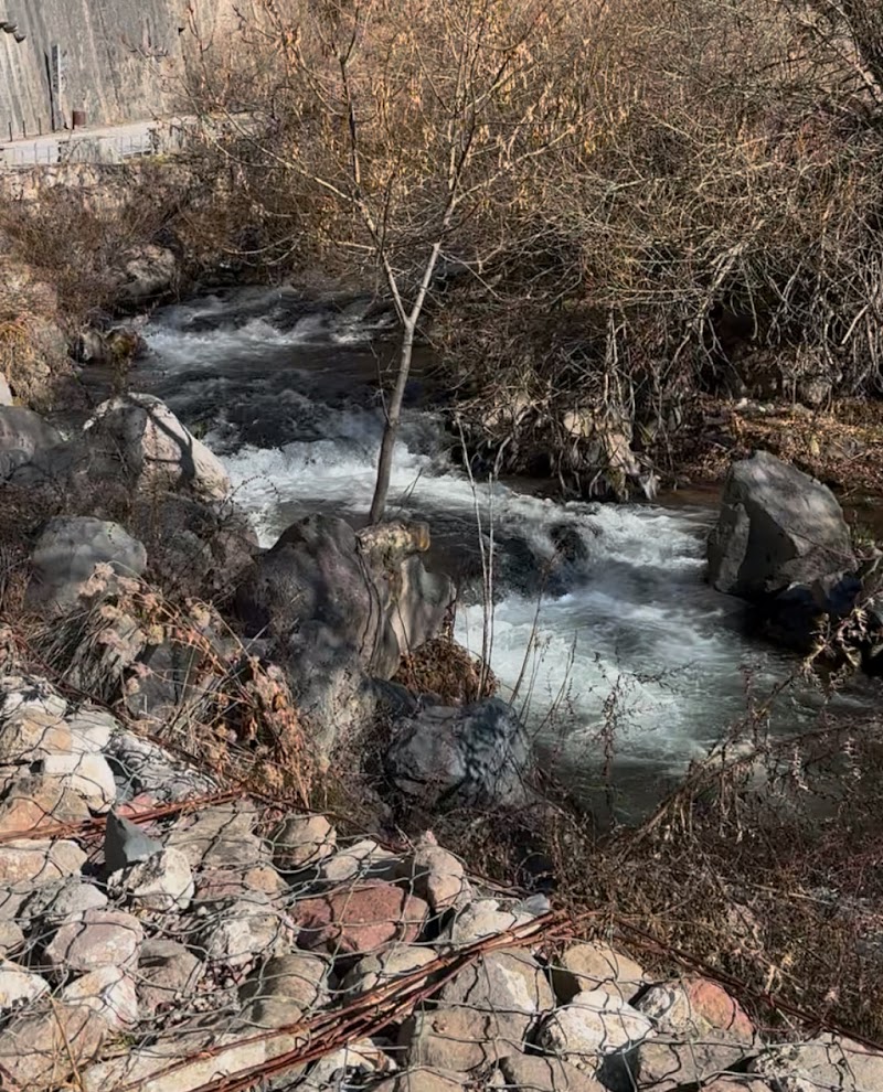 Hike along the Azat River Gorge - Garni - Armenia - booked ai