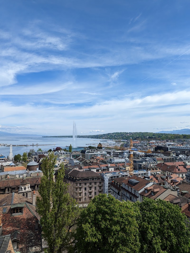 Visit the Old Town and St. Pierre Cathedral - Genève - Switzerland - booked ai