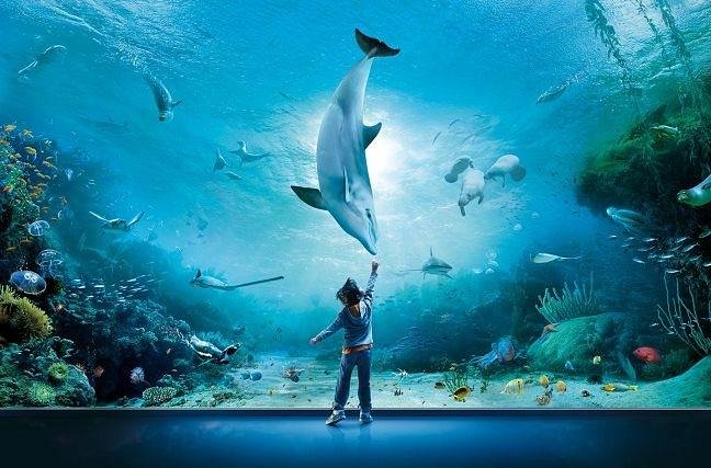 Visit the Aquarium of Genoa (Acquario di Genova) - Genova - Italy - booked ai