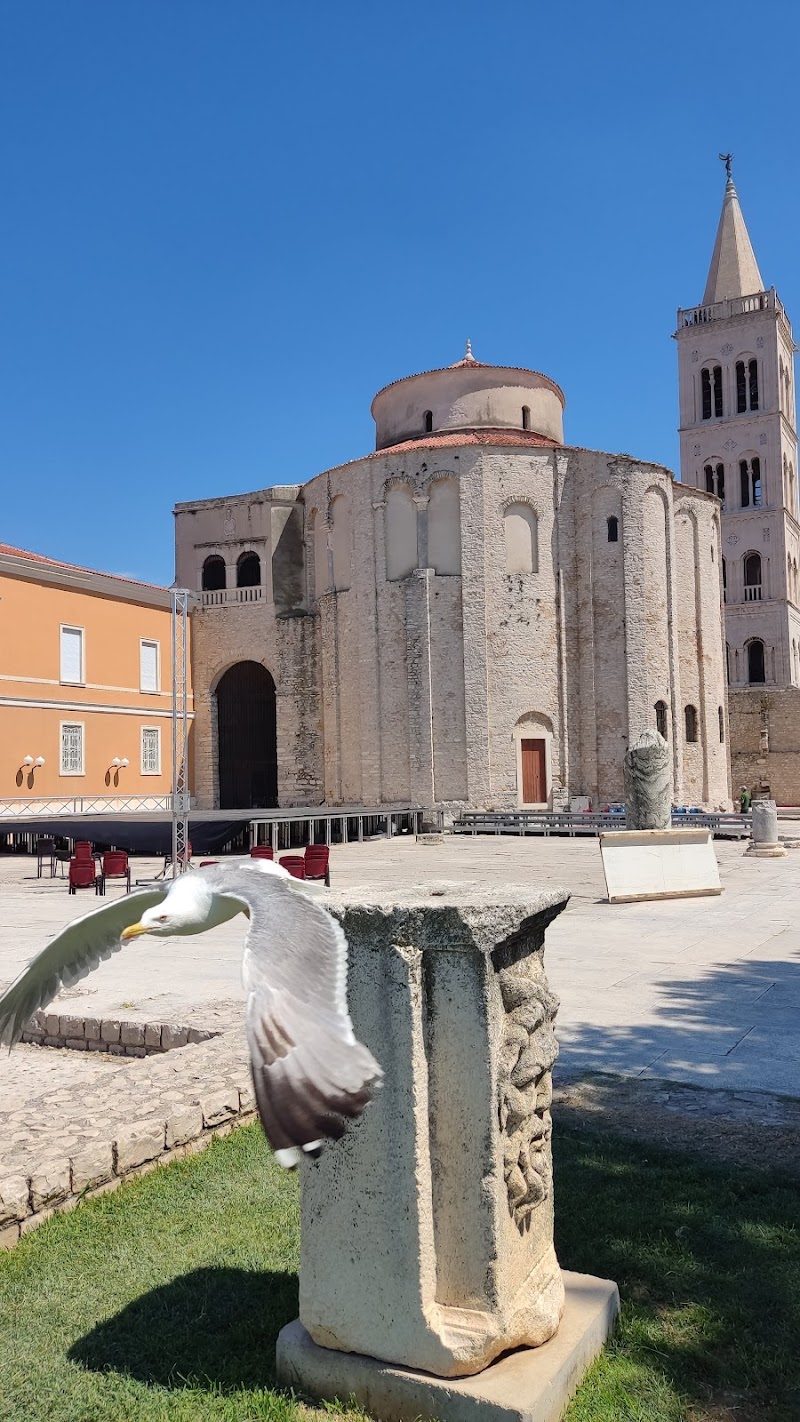 Roman Forum - Zadar - Croatia - booked ai