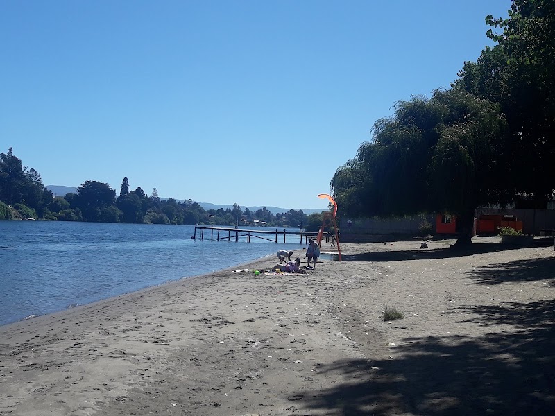 Discover the Tranquil Beauty of Playa Collico - Valdivia - Chile - booked ai