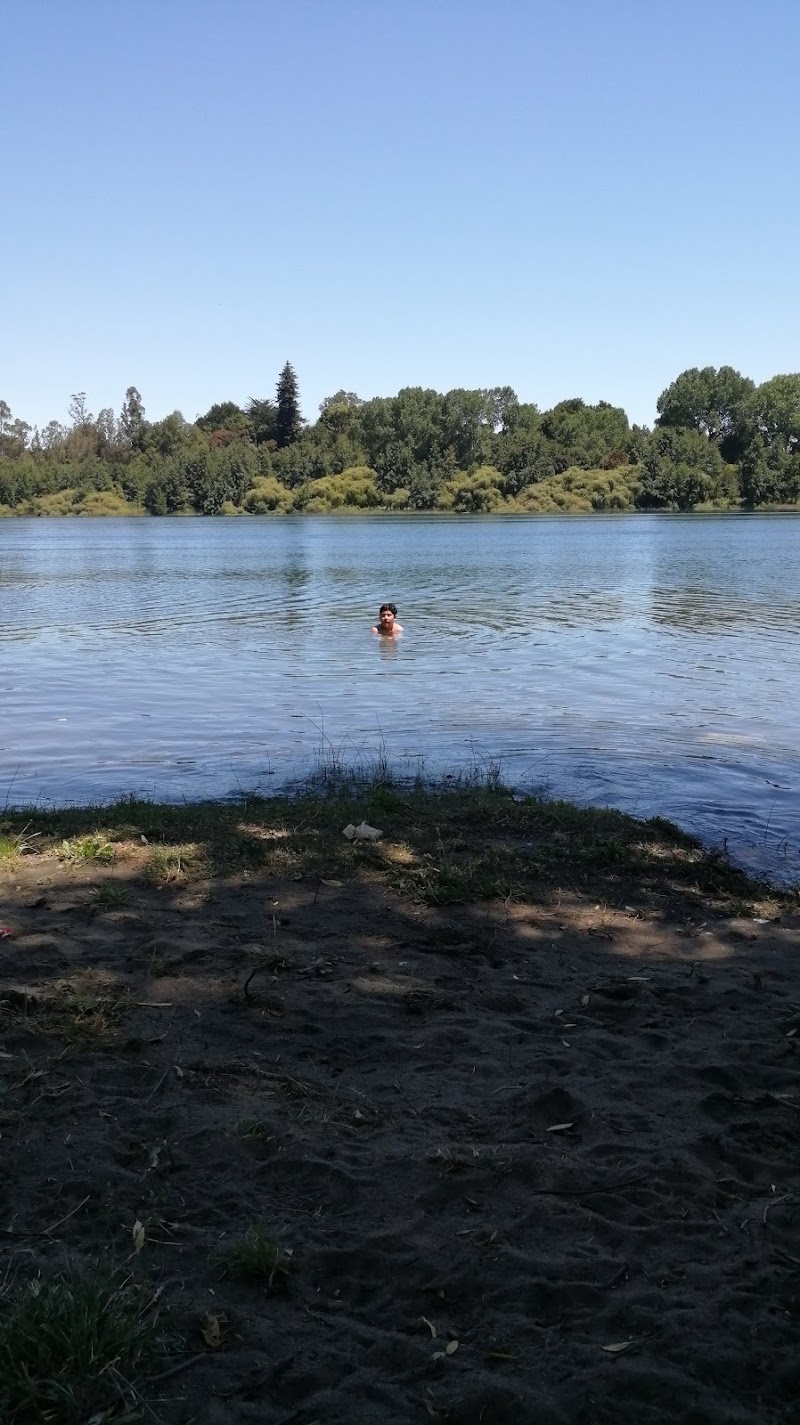 Discover the Tranquil Beauty of Playa Collico - Valdivia - Chile - booked ai